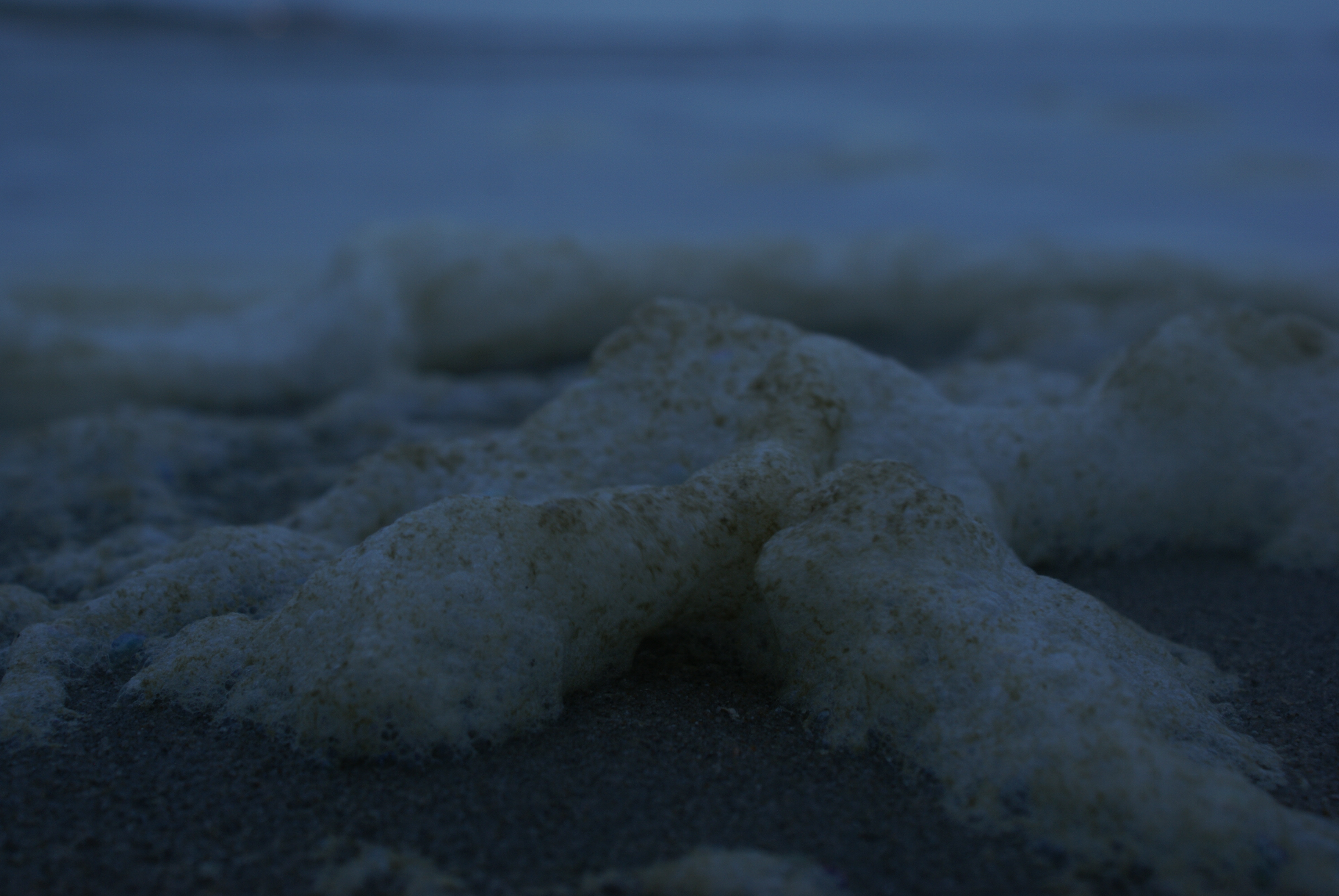 sea foam