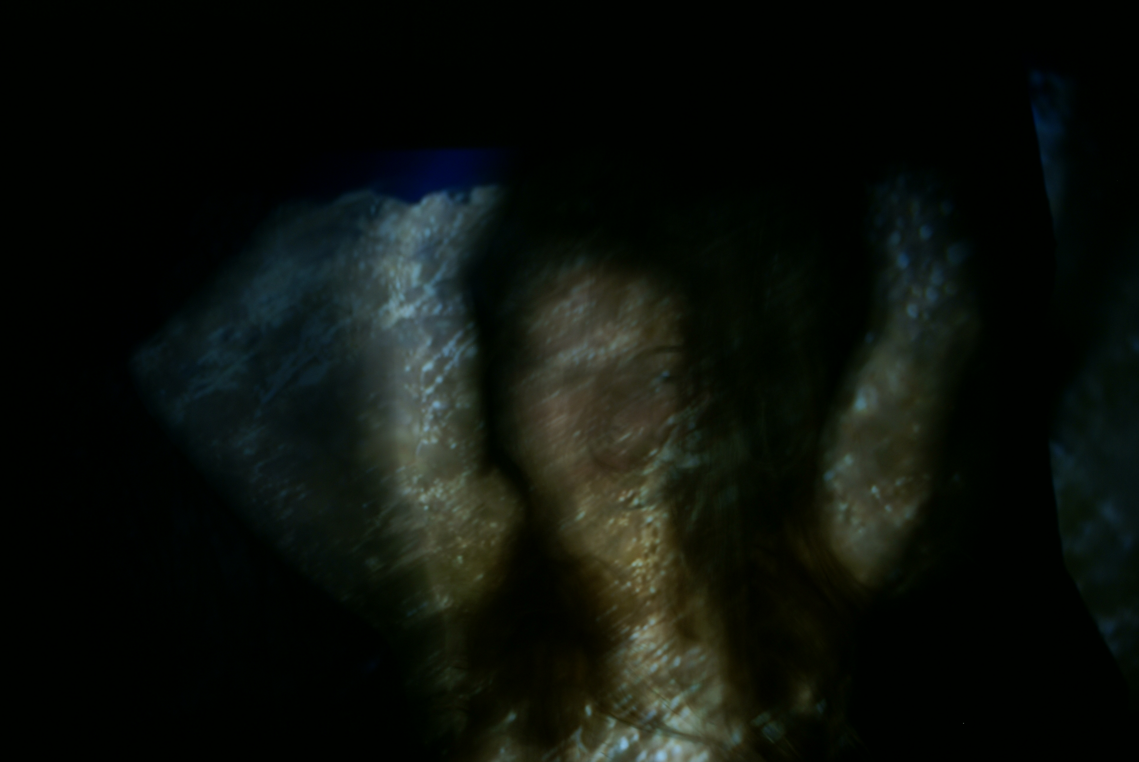 seafoam portret